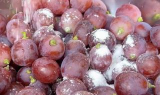 最放心食盐的标准代码是啥 中国十大放心食用盐