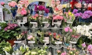 今年的父亲节母亲节是几月几号呀 今年的母亲节是几号