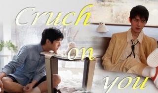 IlikeyouIfancyyouIhaveacrushonyouChooseoneyoulike这句是什么意思 crushonyou