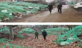 为什么最近咸阳天天下雨 咸阳机场天气