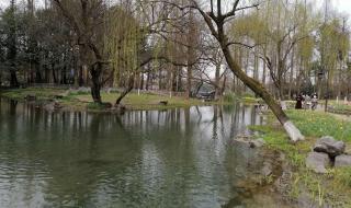 杭州最大的公园 杭州太子湾公园门票